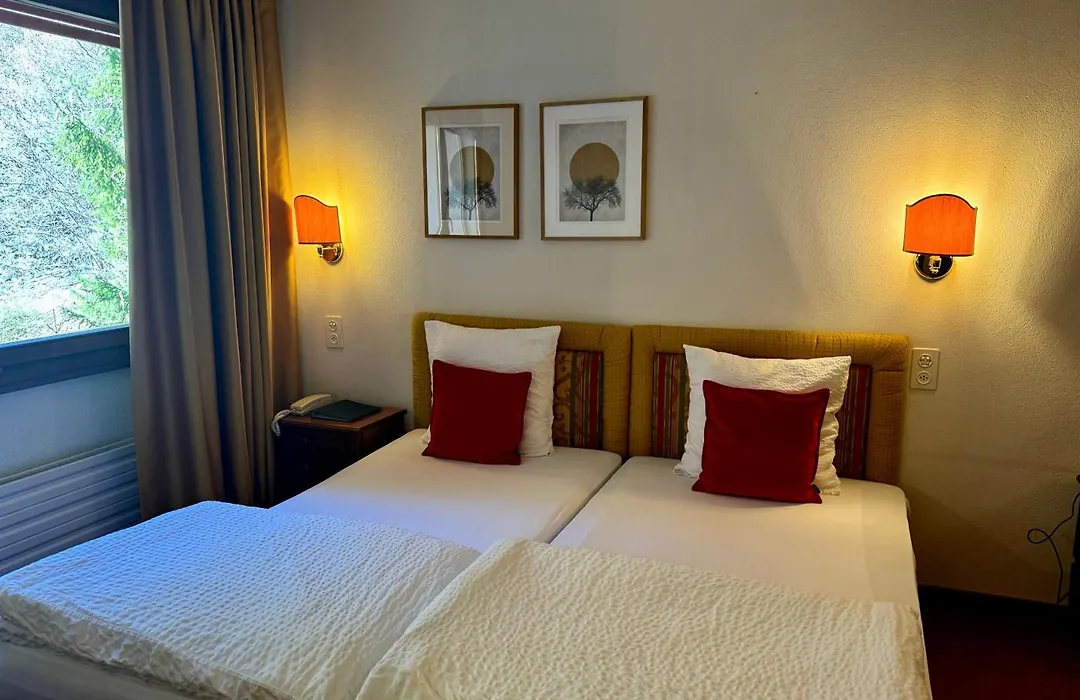 Hotel De La Foret-1